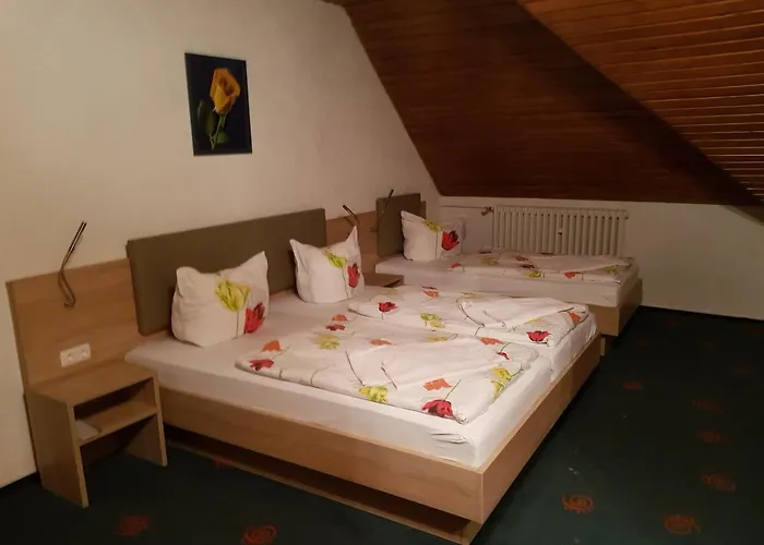 Hotel Hotel-gasthof Zur Krone Saalburg